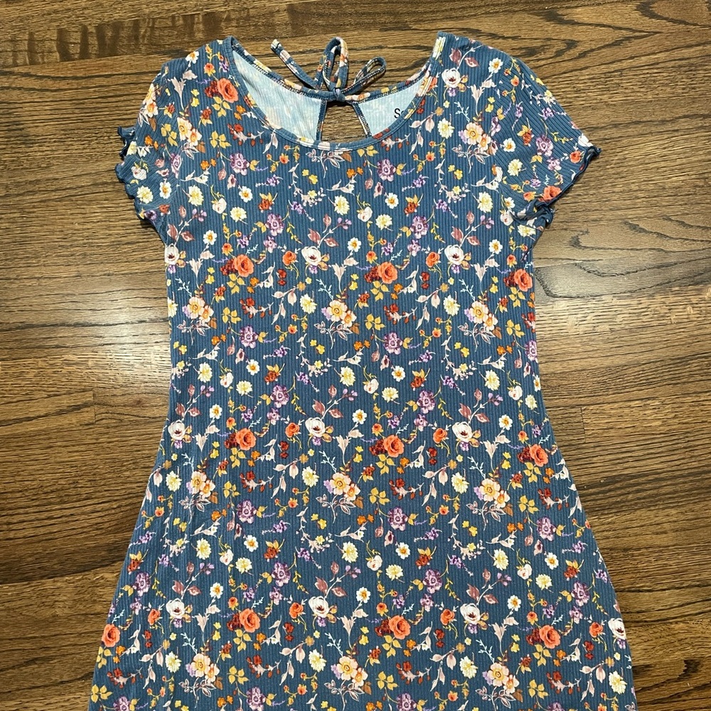 Blue Floral Skater Dress